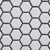 Mosaic cases
