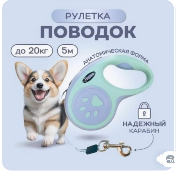 dog leash.png